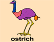 ostrichɫ