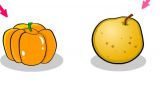 ʳﵥʣPumpkin  Pear