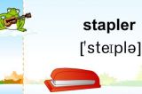 ѧʣstapler()