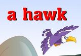 HͷʣHawk