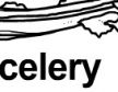 celery ɫ