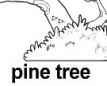 pine tree ɫ