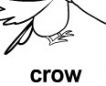 crow ɫ