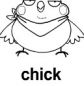 chick ɫ