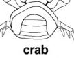 crab ɫ