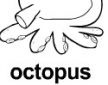 octopus ɫ