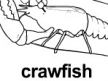 crawfish ɫ